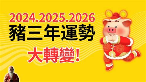 生肖豬2023|生肖豬2023年—2025年，三年一運分析，大運藏在哪一年